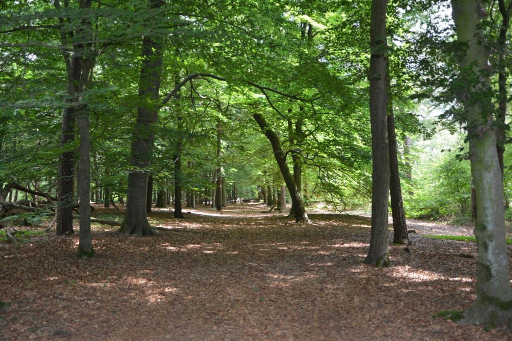 Minicamping De Lindehoef Moergestel Exterior foto